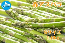 �̳�ƻ��ι�Į�� ��ʡ�ڱ��ī�Τ�ե����ѥ顡S��1.6�ԡ�