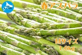 �̳�ƻ��ι�Į�� ��ʡ�ڱ��ī�Τ�ե����ѥ顡M��1.6�ԡ�