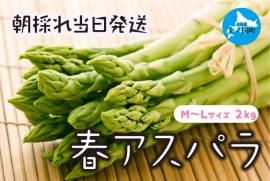 �̳�ƻ��ι�Į�� �狼�������ī�Τ�ե����ѥ顡M��L��2�ԡ�