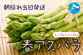 �̳�ƻ��ι�Į�� �狼�������ī�Τ�ե����ѥ顡L��2L��2�ԡ�