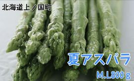 �̳�ƻ��ι�Į�� ī�Τ�����ȯ�� ��Ǫ����βƥ����ѥ顡M��L��800g��