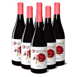 ��ι�磻�ʥ꡼������֡�������2023��6��