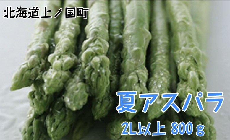 �̳�ƻ��ι�Į�� ī�Τ�����ȯ�� ��Ǫ����βƥ����ѥ顡2L�ʾ��800g��