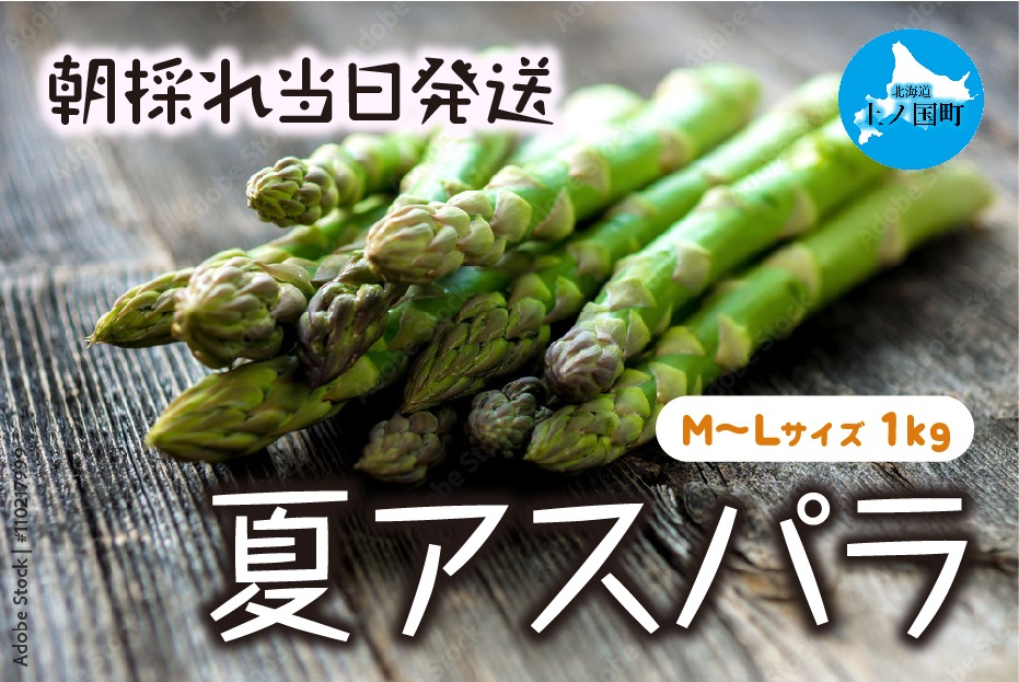 �̳�ƻ��ι�Į�� �狼�������ī�Τ�ƥ����ѥ顡M��L��1�ԡ�