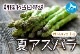 �̳�ƻ��ι�Į�� �狼�������ī�Τ�ƥ����ѥ顡M��L��2�ԡ�