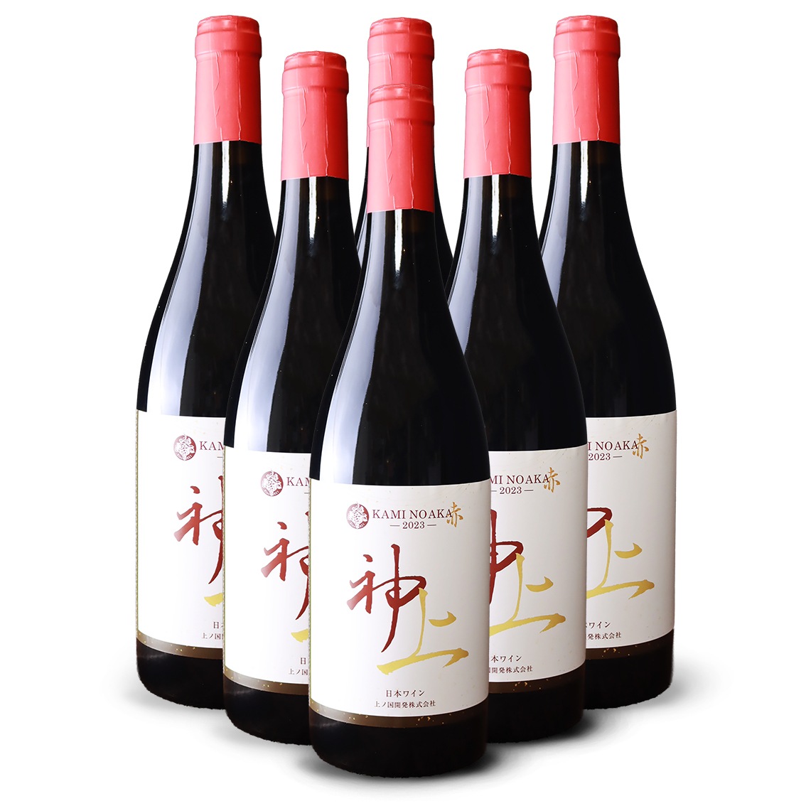 ��ι�磻�ʥ꡼������֡�2023  6��