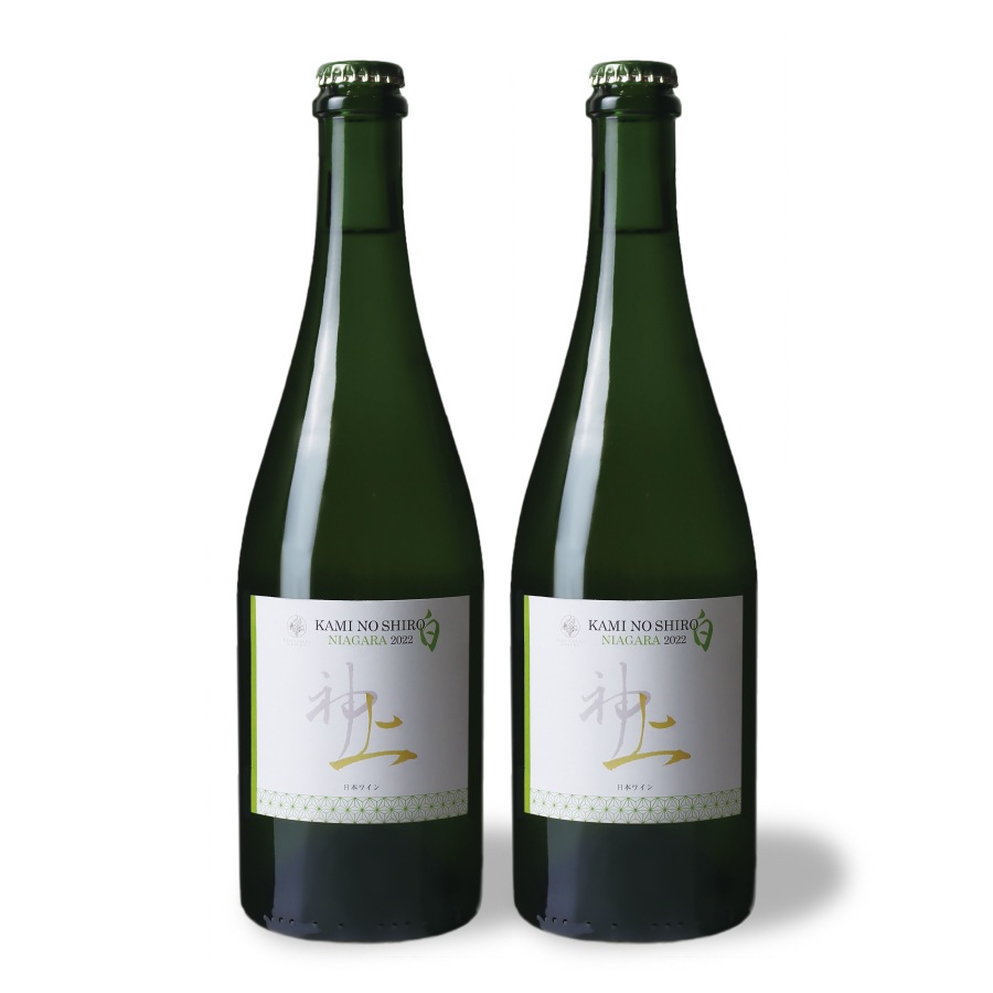 ����磻�󡡾���򡡥ʥ������顡2022��2��