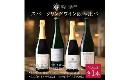 �̳�ƻ ��ι�磻�ʥ꡼�Υ��ѡ�����󥰥磻�������٥��åȡ֥ץ�ߥ��ॷ���ɥ�2022�������٥�������ѡ������2023���ʥ�������2022���ʥ�������2023�ס�750ml�߳�1��