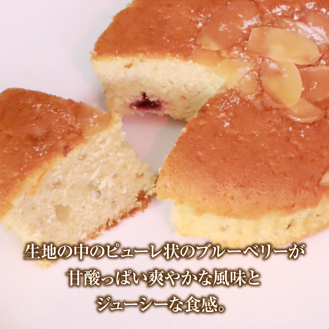 �⤬�결�Υ֥롼�٥꡼�ޥɥ졼�̡�5�������