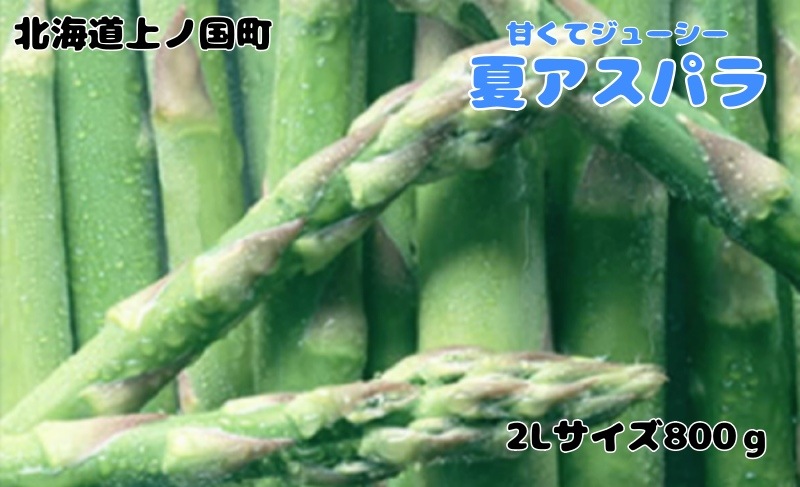 �̳�ƻ��ι�Į�� ��ʡ�ڱ��ī�Τ�ƥ����ѥ顡2L��800g��