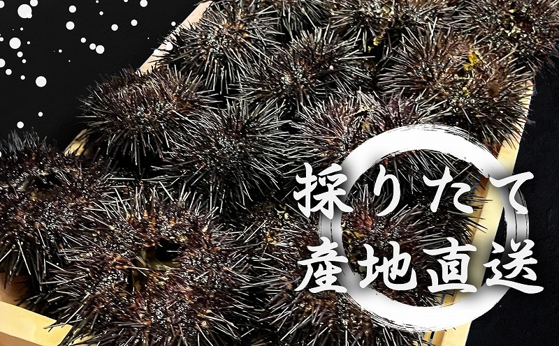 ̳ƻ ιĮ ޤҤˡ250g