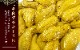̳ƻ ιĮ ޤҤˡ250g
