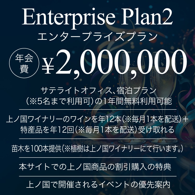 ��ι񥢥�Х����������󥿡��ץ饤���ץ��