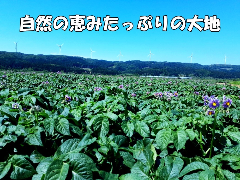 �̳�ƻ��ι�Į�� �������������֥᡼������ס�M��������10��
