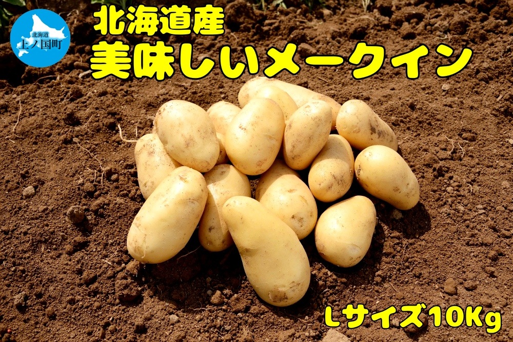 �̳�ƻ��ι�Į�� �������������֥᡼������ס�L��������10��