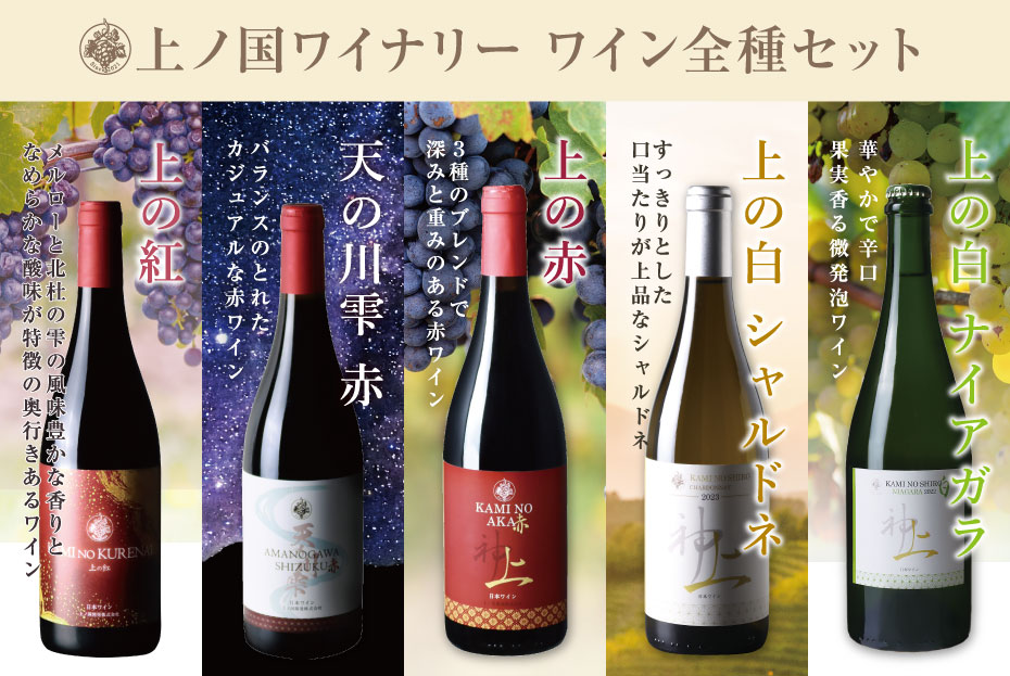 ��ι�磻�ʥ꡼���磻�󥻥åȡʾ���򥷥��ɥ�2023�������ʥ�������2022������֡�ŷ��� �� ��ιȡ˳�1��