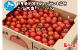 �̳�ƻ��ι�Į�� ��ʡ�ڱ�Ρ֥ߥ˥ȥޥȡ�4��