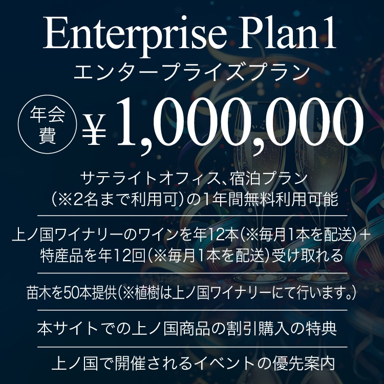 ��ι񥢥�Х����������󥿡��ץ饤���ץ��1