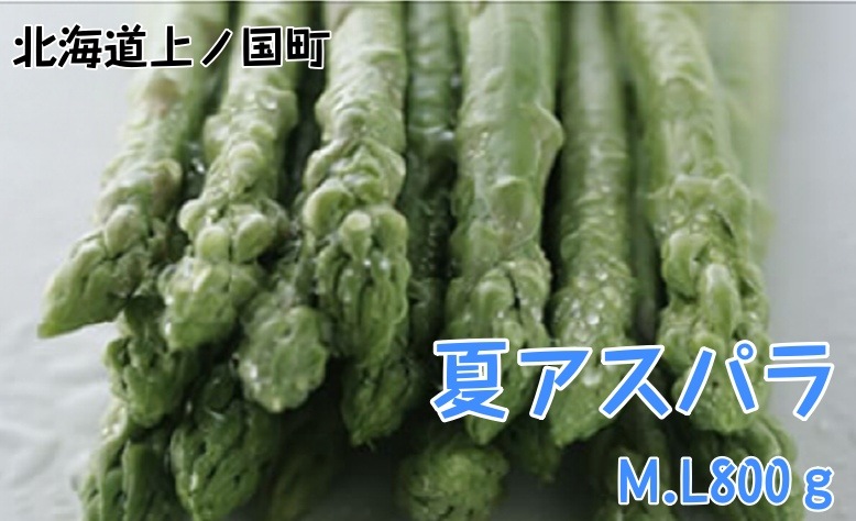 �̳�ƻ��ι�Į�� ī�Τ�����ȯ�� ��Ǫ����βƥ����ѥ顡M��L��800g��