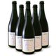 �̳�ƻ ��ι�磻�ʥ꡼�������ʥ�������2023��750ml��6��