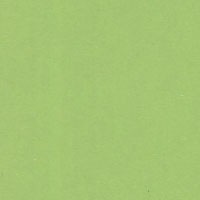 紀州色上質紙/薄口/みどり