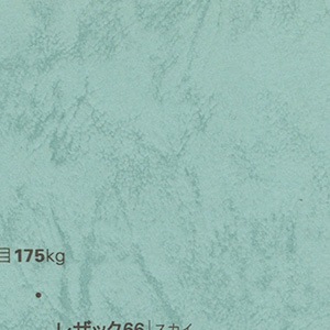 レザック66/215kg/スカイ