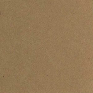 1枚 ブンペル 薄55kg クラフト ウエディング おためし用紙 ブンペル Kamizukan 紙図鑑 1枚 ブンペル 薄55kg クラフト ウエディング おためし用紙 ブンペル Kamizukan 紙図鑑