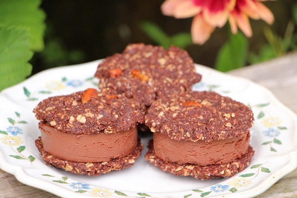 お疲れの夜にご褒美を】 ザクっとひんやり 「Vegan チョコレートアイス