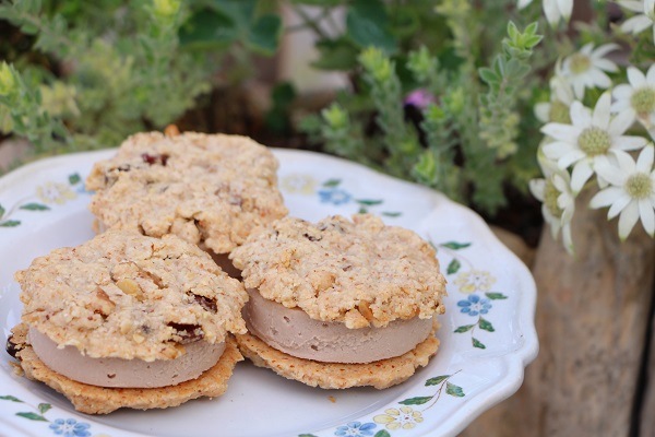 �ڿ�ʪ���ݤ��äפ�� �����äȤҤ��� ��Vegan �륯�ޥ���������� (3����)��