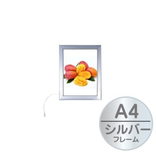 ں߸˸¡ۥ饤ȥѥͥ EG-A4 С⵱١Ĺ̿Ƴ
