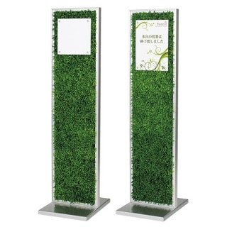 סۥɥ ̥꡼(Ƽ)꡼ʷϵ