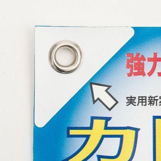 ���ɥڥ� �����䶯������ (�ۥ磻��)���ϥȥ���䶯������