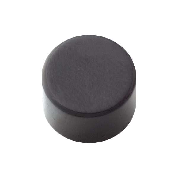 高品質 オポッサムの頭骨 ★ S サイズ 高品質 オポッサムの頭骨 ☆ S サイズ