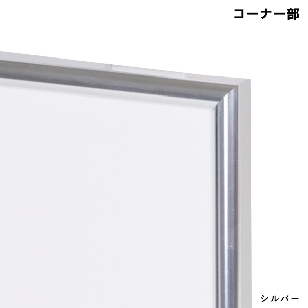 �˥塼�饤�ȥե졼�� (�ƿ����ƥ�����)�����顼�Хꥨ�������˭��