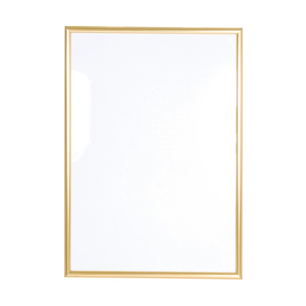 �˥塼�饤�ȥե졼�� (�ƿ����ƥ�����)�����顼�Хꥨ�������˭��