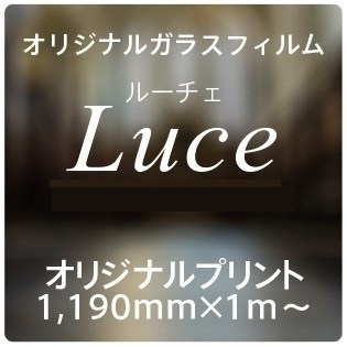 ꥸʥ륬饹ե(ɻߥ)1mɬפʬǽ