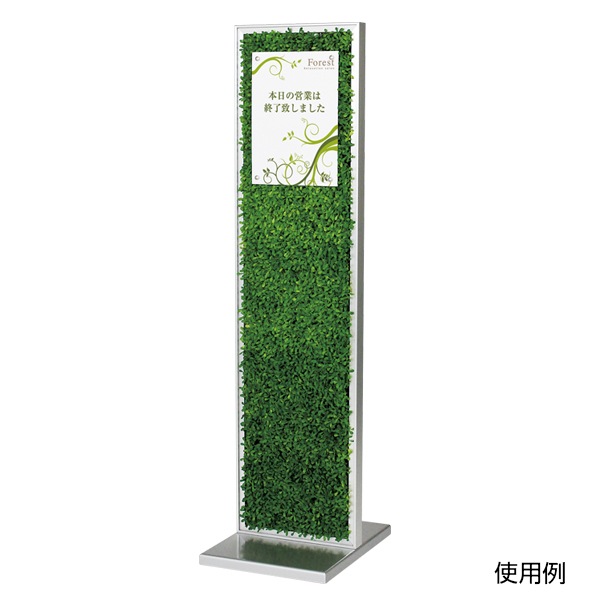 סۥɥ ̥꡼(Ƽ)꡼ʷϵ