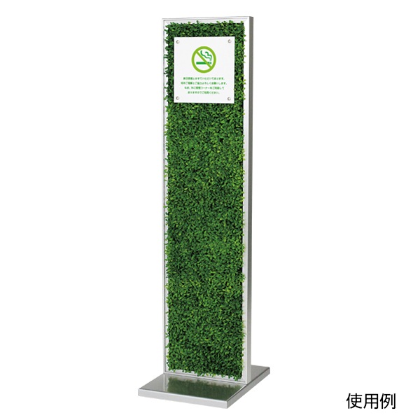 סۥɥ ̥꡼(Ƽ)꡼ʷϵ