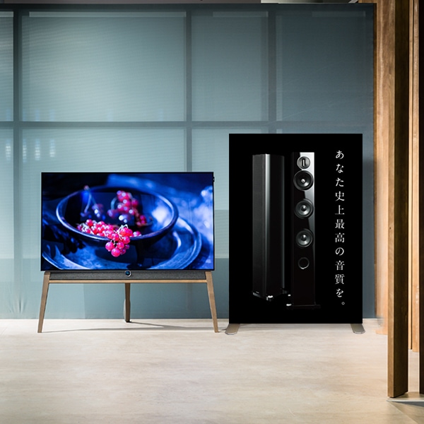 LEDセゴライトボックス本体 W1000(各種)│組み立て簡単なLED内臓