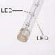 �����סۿ�LED���Ρ��ե�����饤�� 20cm(�ƿ�)���ޤ���㤬�ߤäƤ���褦����������Ф�