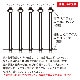 �����סۿ�LED���Ρ��ե�����饤�� 20cm(�ƿ�)���ޤ���㤬�ߤäƤ���褦����������Ф�