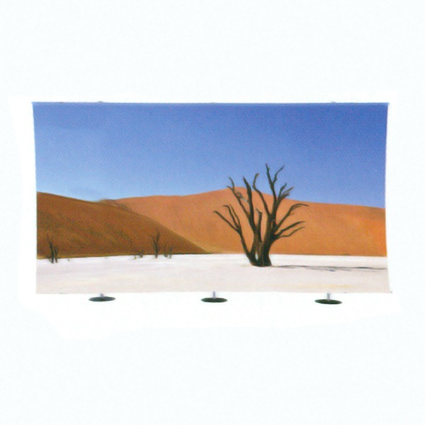 Uni�Хʡ�Big 4000���Ĳ�Ĵ����ǽ�ʥХå��ѥͥ�ο�����