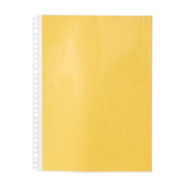 ե᡼֥åѥե(10)ѤΥե