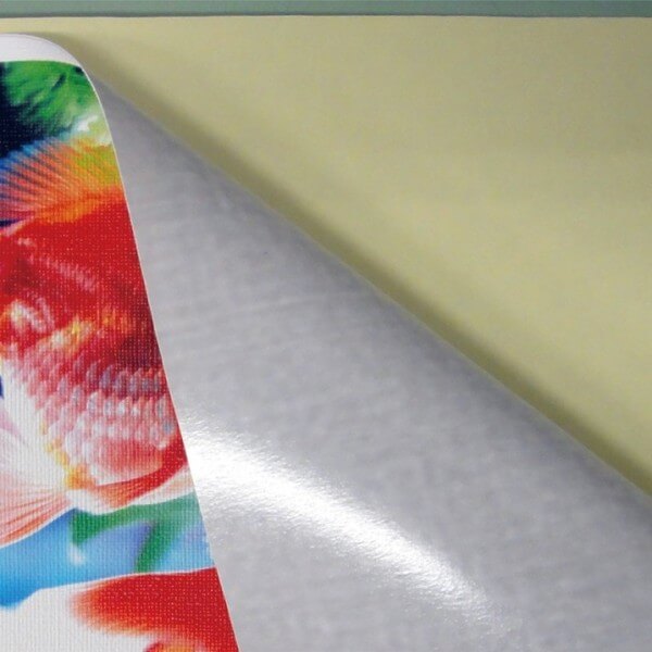 ꥸʥɻץ(1m)ñŽäդɻ