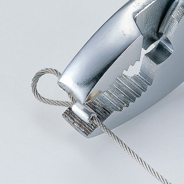 ѥХ륹꡼(Ƽ)פǤդ礭Υ롼פ뤳Ȥǽ