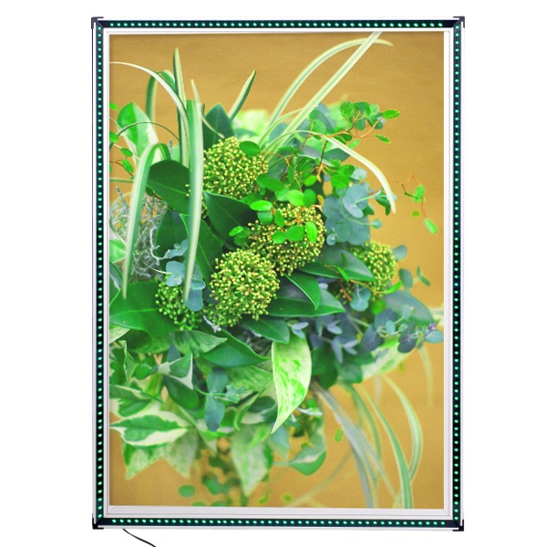 եå饤ȥѥͥ B1 (֥å/С)бLEDեåѥͥ