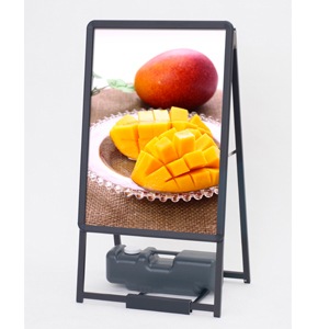 åA (B2)  (С/֥å)֤Υݥåפʤǡ