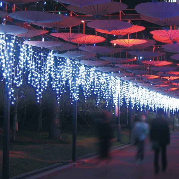 LED���������른�祤�饤�� 1000�娢����˼�Ƕ��֤�ǥ�����