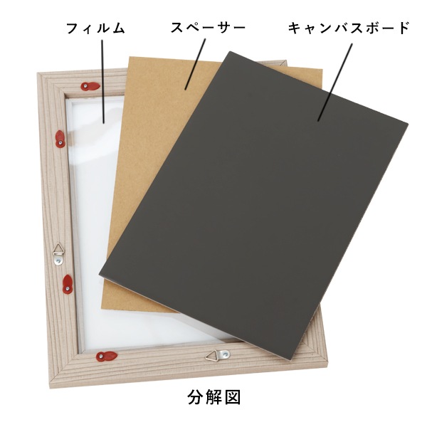 ˥塼ȥե졼 A4顼Хꥨ˭ѥͥǤ