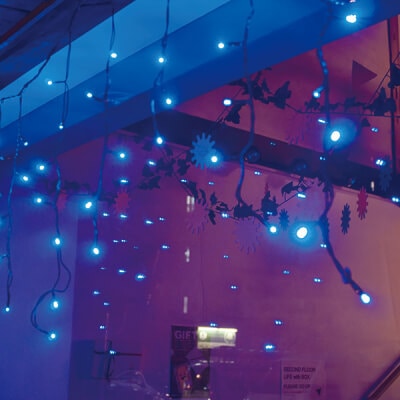 ��LED�Ĥ��饤�� �֥롼���Ĥ��饤�Ȥ����꺢���ʤˤʤäƿ��о졣